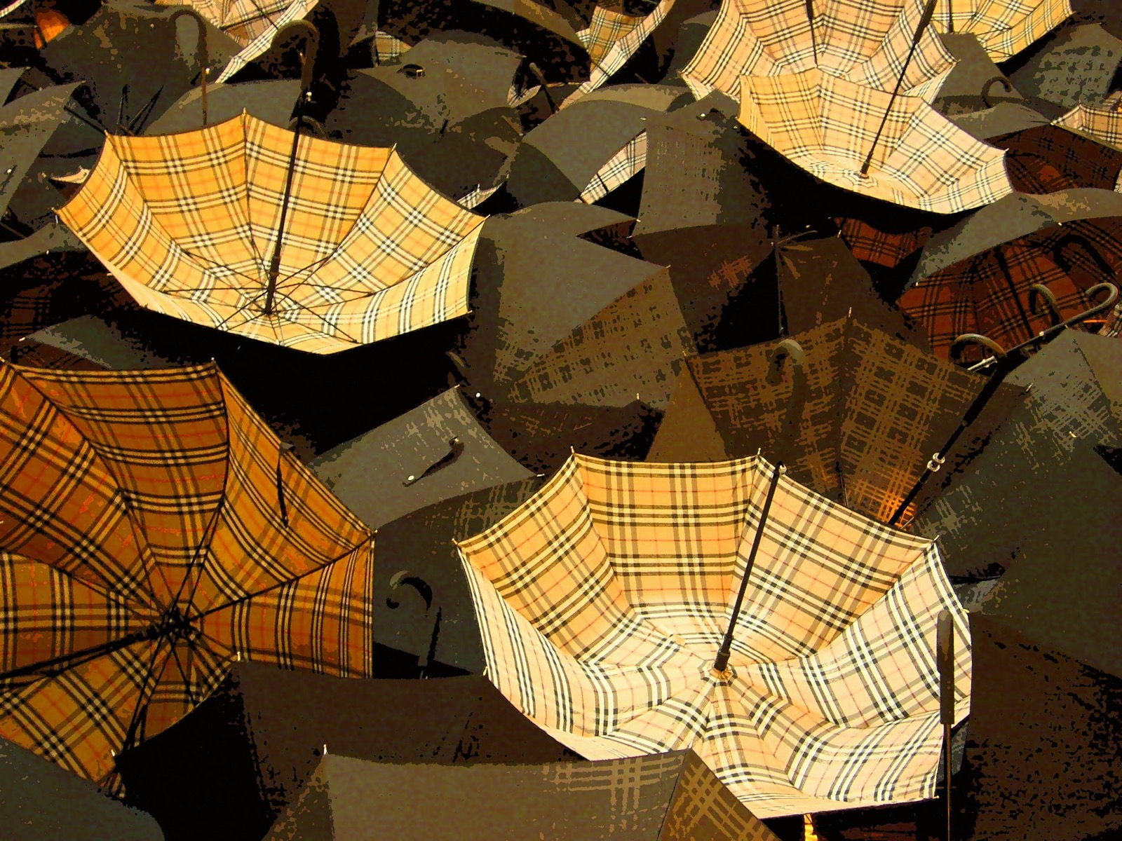 Burberry check pattern on umbrellas in a retail setting